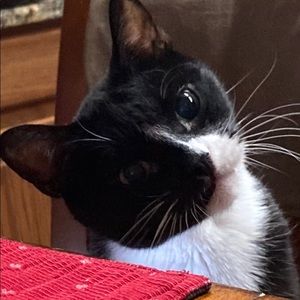 Meet your Posher, Juddy